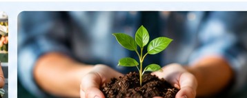 Young plant representing growth